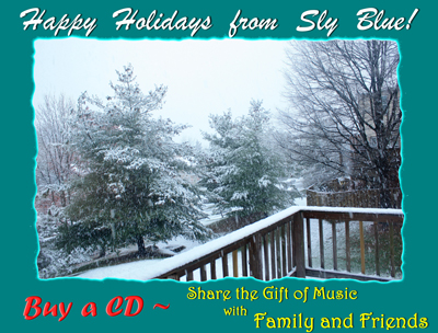 Sly Blue Holiday Card